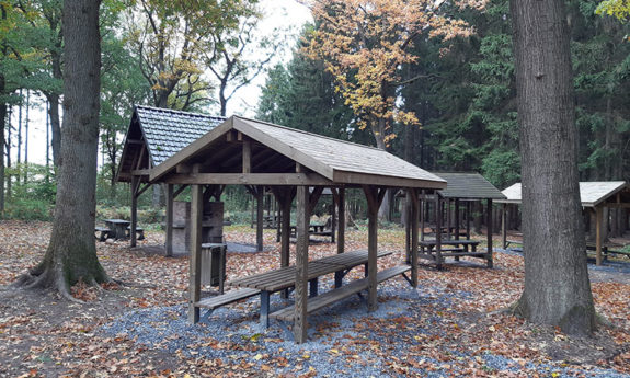 Table et bancs bois TVB