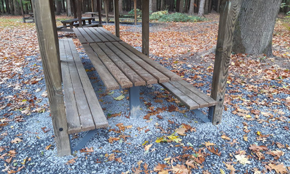 Table et bancs bois TVB