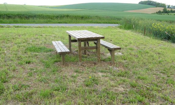 Table et bancs bois TVB
