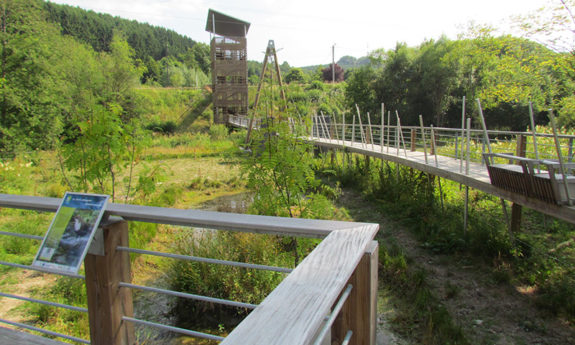 Passerelle des OIseaux Martelange bois