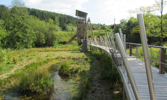 Passerelle des OIseaux Martelange bois