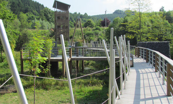 Passerelle des OIseaux Martelange bois