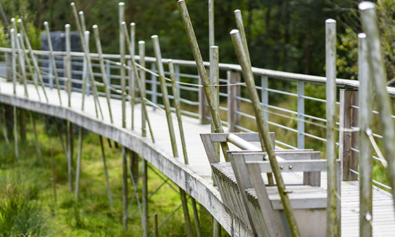 Passerelle des OIseaux Martelange bois