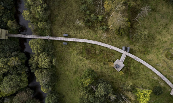 Passerelle des OIseaux Martelange bois