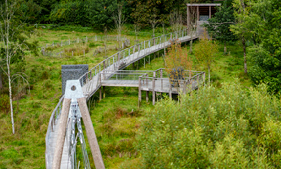 Passerelle des OIseaux Martelange bois