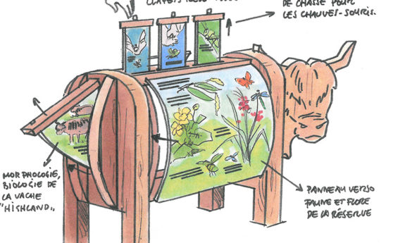 Orval modules didactiques bois TVB