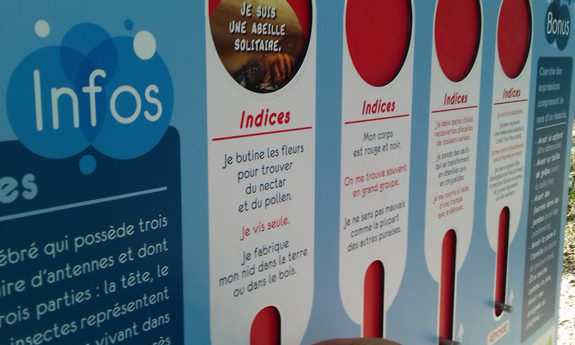 Modules didactiques Octofun TVB