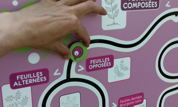 Modules didactiques Octofun TVB