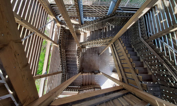 Tour passerelle bois Rochehaut TVB
