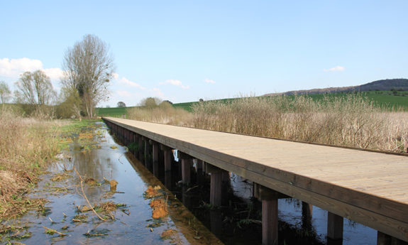 Caillebotis Musson bois TVB