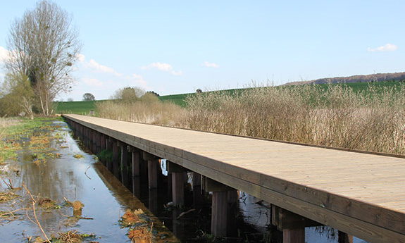 Caillebotis-Musson-bois-TVB