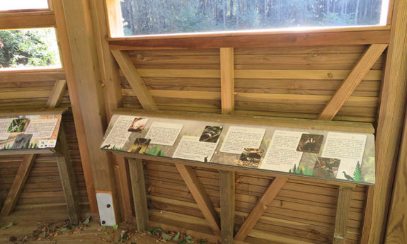 Modules didactiques scénographie Oisefagne Fauvillers TVB