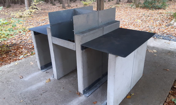 Abris barbecue bois TVB
