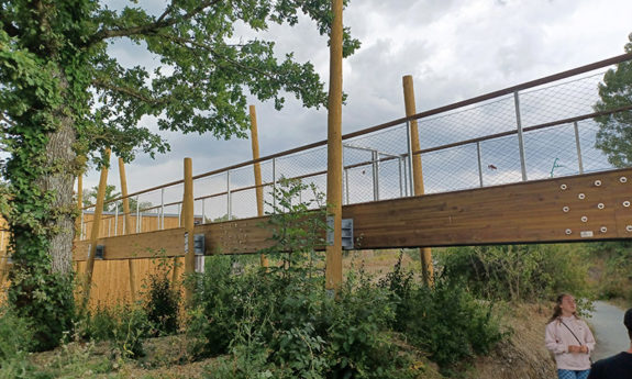 Passerelle Aquascope Virelles bois TVB