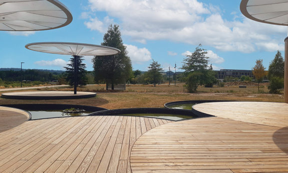 Douglas-bords_arrondis-terrasse-bois-TVB