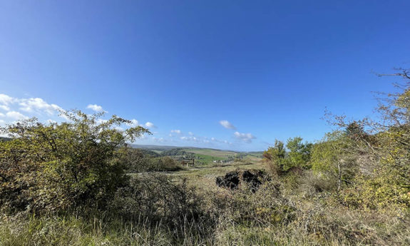 Tour d'observation Doische bois TVB