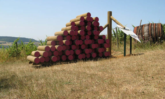 Torgny modules vignoble TVB