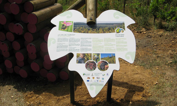 Torgny modules vignoble TVB