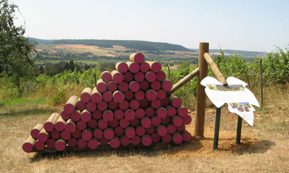 Torgny modules vignoble TVB