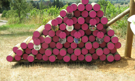 Torgny modules vignoble TVB