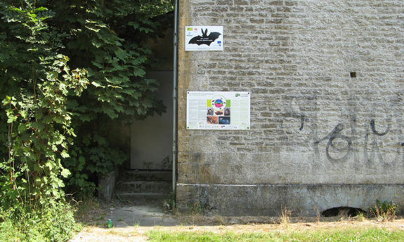 Torgny modules vignoble TVB