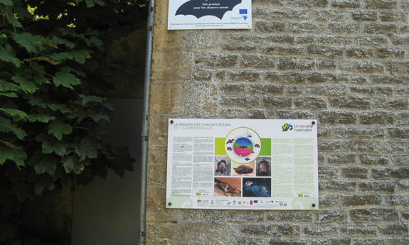 Torgny modules vignoble TVB