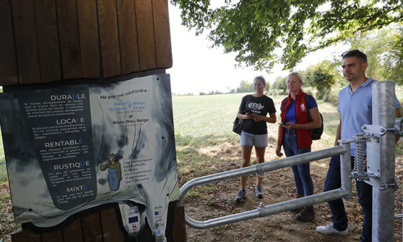 Bluester panneaux didactiques TVB