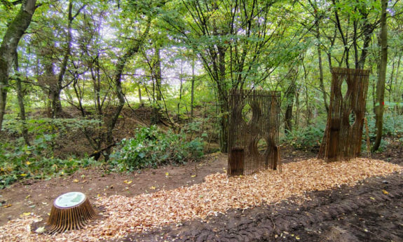 2024-330 Héron - Ferrières - TVB