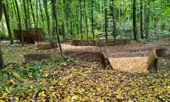 2024-330 Héron - Ferrières - TVB