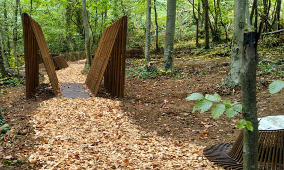 2024-330 Héron - Ferrières - TVB