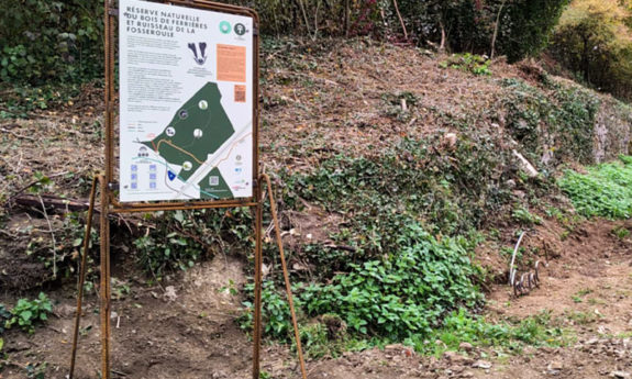 2024-330 Héron - Ferrières - TVB