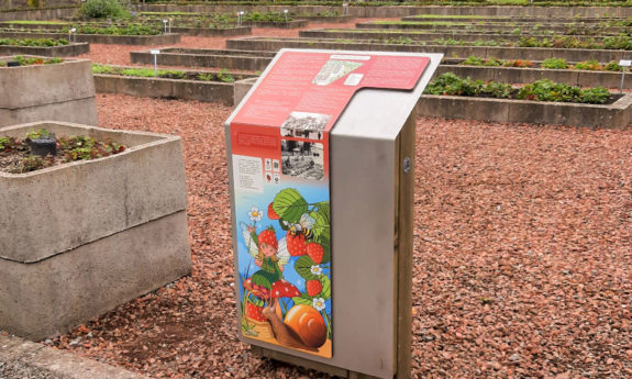 2025-084-Musée-fraise-modules-didactiques