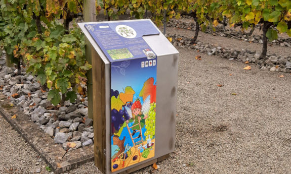 2025-084-Musée-fraise-modules-didactiques