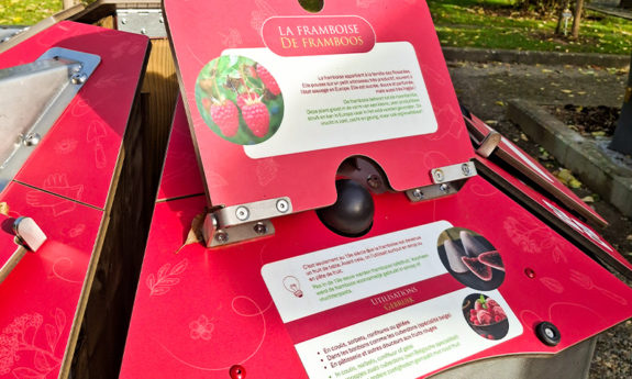 2025-084-Musée-fraise-modules-didactiques