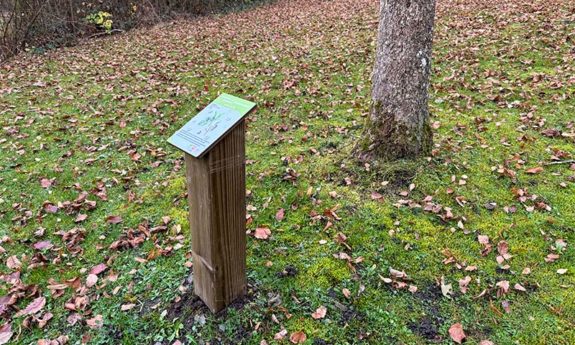 2024-189 Habay didactique bois TVB