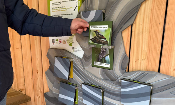 2024-189 Habay didactique bois TVB