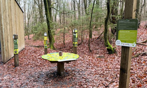 2024-189 Habay didactique bois TVB