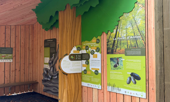 2024-189 Habay didactique bois TVB