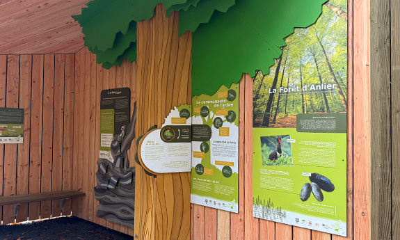 2024-189 Habay didactique bois TVB