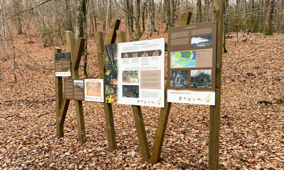 2024-189 Habay didactique bois TVB