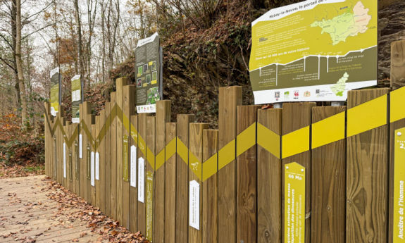 2024-189 Habay didactique bois TVB