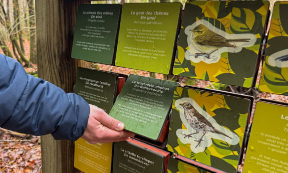 2024-189 Habay didactique bois TVB