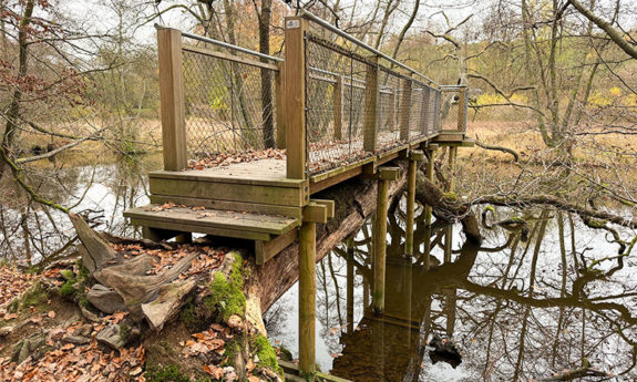 Habay passerelle bois TVB