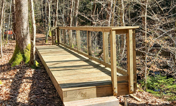 2023-333-Saint-Léger-Belvédère-bois