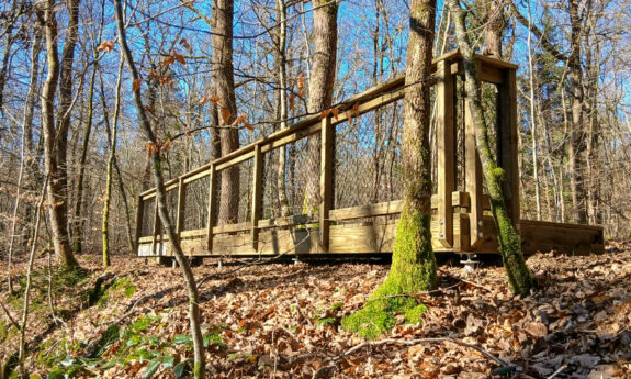 2023-333-Saint-Léger-Belvédère-bois