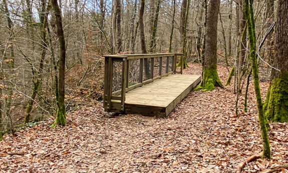 2023-333-Saint-Léger-Belvédère-bois