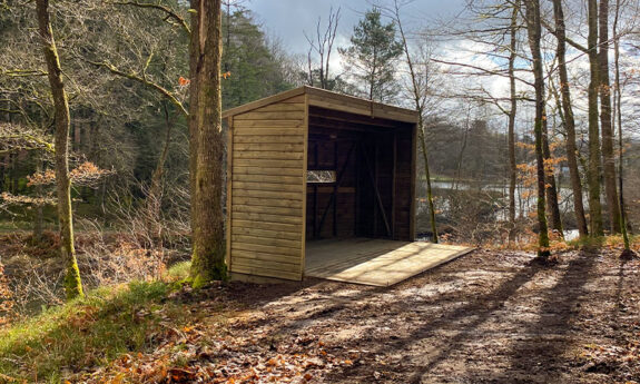 2023-333-Saint-Léger-Observatoire-bois