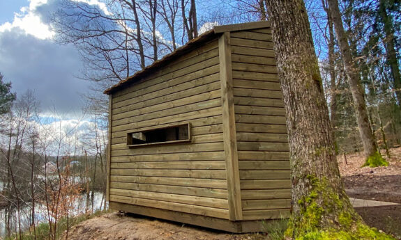 2023-333-Saint-Léger-Observatoire-bois