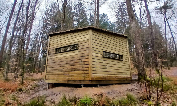 2023-333-Saint-Léger-Observatoire-bois